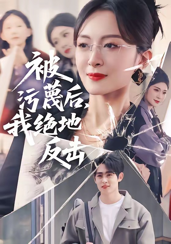 被污蔑后我绝地反击